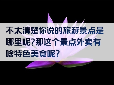 不太清楚你说的旅游景点是哪里呢？那这个景点外卖有啥特色美食呢？