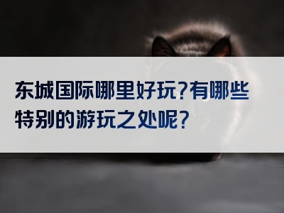 东城国际哪里好玩？有哪些特别的游玩之处呢？