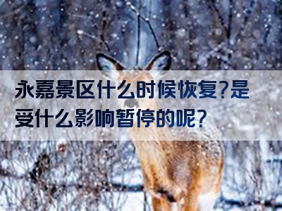 永嘉景区什么时候恢复？是受什么影响暂停的呢？