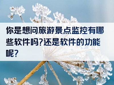 你是想问旅游景点监控有哪些软件吗？还是软件的功能呢？