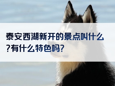 泰安西湖新开的景点叫什么？有什么特色吗？