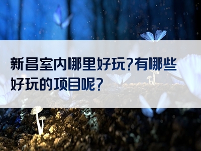 新昌室内哪里好玩？有哪些好玩的项目呢？