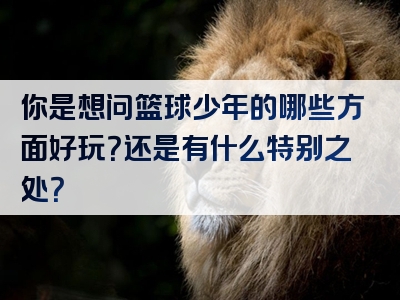 你是想问篮球少年的哪些方面好玩？还是有什么特别之处？