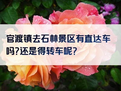 官渡镇去石林景区有直达车吗？还是得转车呢？