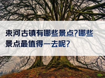束河古镇有哪些景点？哪些景点最值得一去呢？