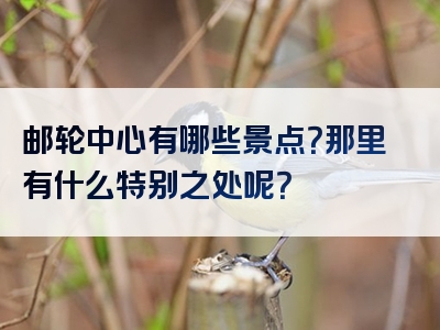 邮轮中心有哪些景点？那里有什么特别之处呢？