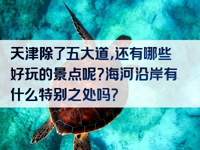 天津除了五大道，还有哪些好玩的景点呢？海河沿岸有什么特别之处吗？