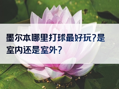 墨尔本哪里打球最好玩？是室内还是室外？