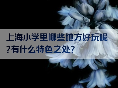 上海小学里哪些地方好玩呢？有什么特色之处？