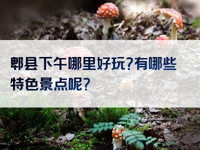 郫县下午哪里好玩？有哪些特色景点呢？