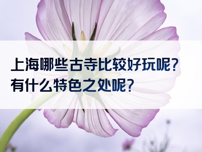 上海哪些古寺比较好玩呢？有什么特色之处呢？
