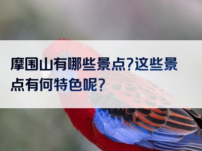 摩围山有哪些景点？这些景点有何特色呢？