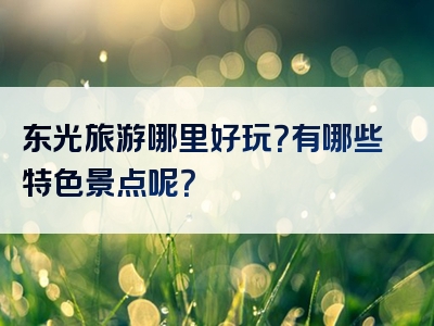 东光旅游哪里好玩？有哪些特色景点呢？