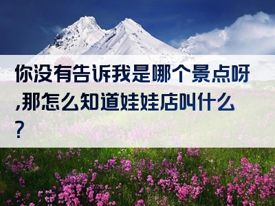 你没有告诉我是哪个景点呀，那怎么知道娃娃店叫什么？