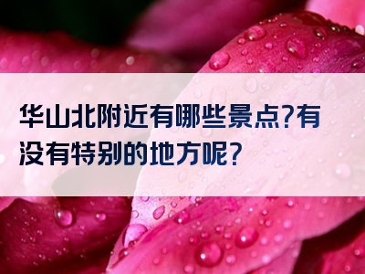 华山北附近有哪些景点？有没有特别的地方呢？