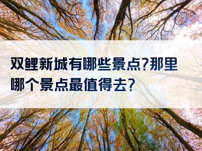 双鲤新城有哪些景点？那里哪个景点最值得去？