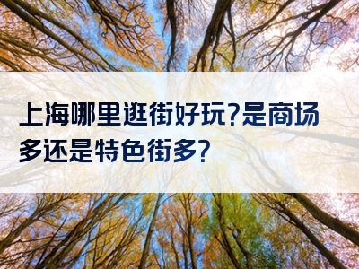 上海哪里逛街好玩？是商场多还是特色街多？