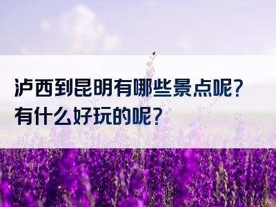 泸西到昆明有哪些景点呢？有什么好玩的呢？