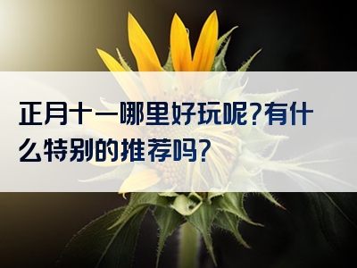 正月十一哪里好玩呢？有什么特别的推荐吗？