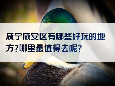 咸宁咸安区有哪些好玩的地方？哪里最值得去呢？