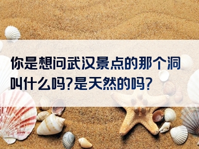 你是想问武汉景点的那个洞叫什么吗？是天然的吗？