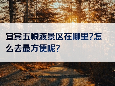 宜宾五粮液景区在哪里？怎么去最方便呢？