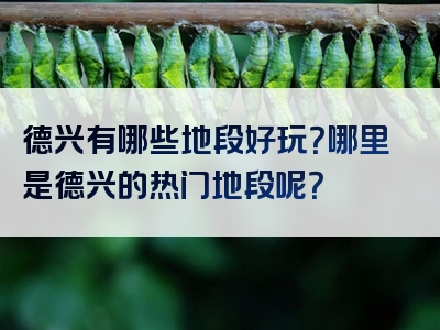 德兴有哪些地段好玩？哪里是德兴的热门地段呢？