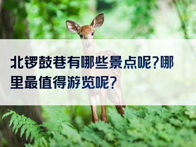 北锣鼓巷有哪些景点呢？哪里最值得游览呢？