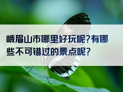 峨眉山市哪里好玩呢？有哪些不可错过的景点呢？