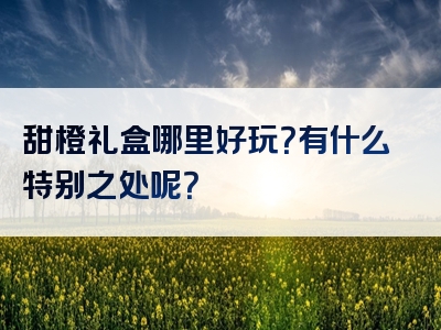 甜橙礼盒哪里好玩？有什么特别之处呢？