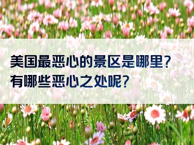 美国最恶心的景区是哪里？有哪些恶心之处呢？