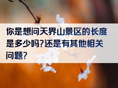 你是想问天界山景区的长度是多少吗？还是有其他相关问题？