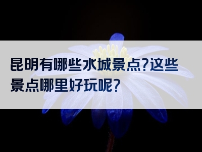 昆明有哪些水城景点？这些景点哪里好玩呢？