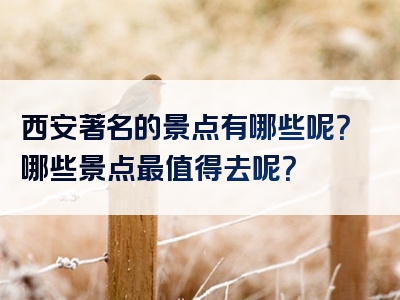 西安著名的景点有哪些呢？哪些景点最值得去呢？