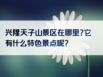 兴隆天子山景区在哪里？它有什么特色景点呢？