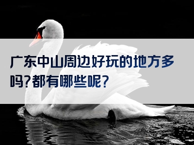 广东中山周边好玩的地方多吗？都有哪些呢？