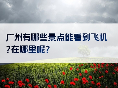 广州有哪些景点能看到飞机？在哪里呢？
