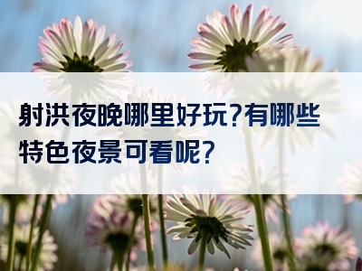 射洪夜晚哪里好玩？有哪些特色夜景可看呢？