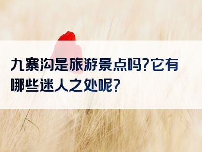 九寨沟是旅游景点吗？它有哪些迷人之处呢？