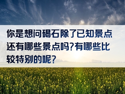 你是想问碣石除了已知景点还有哪些景点吗？有哪些比较特别的呢？