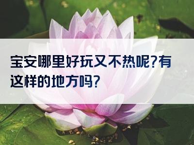 宝安哪里好玩又不热呢？有这样的地方吗？