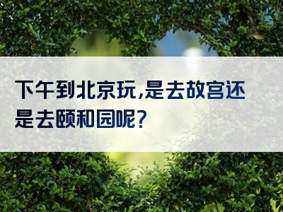 下午到北京玩，是去故宫还是去颐和园呢？