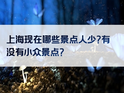 上海现在哪些景点人少？有没有小众景点？