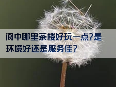 阆中哪里茶楼好玩一点？是环境好还是服务佳？