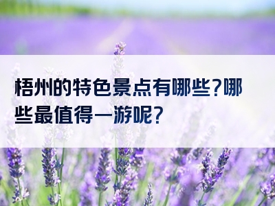 梧州的特色景点有哪些？哪些最值得一游呢？