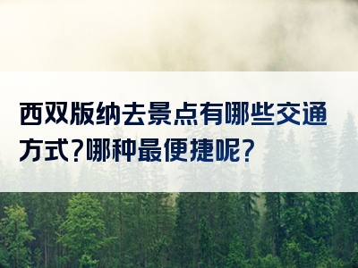 西双版纳去景点有哪些交通方式？哪种最便捷呢？