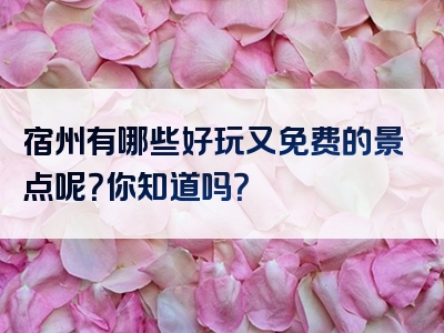 宿州有哪些好玩又免费的景点呢？你知道吗？