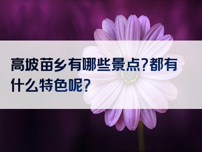 高坡苗乡有哪些景点？都有什么特色呢？