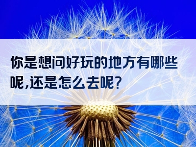 你是想问好玩的地方有哪些呢，还是怎么去呢？