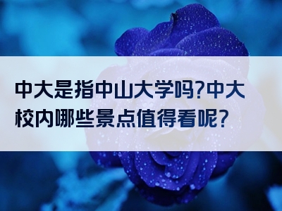 中大是指中山大学吗？中大校内哪些景点值得看呢？